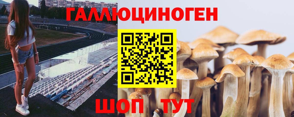 Псилоцибиновые грибы ЛСД  Вход с VPN  Валуйки  Псилоцибиновые грибы GOLDEN TEACHER 