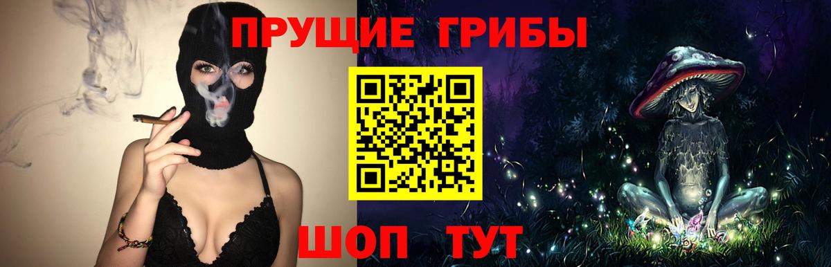 Псилоцибиновые грибы Psilocybe Валуйки
